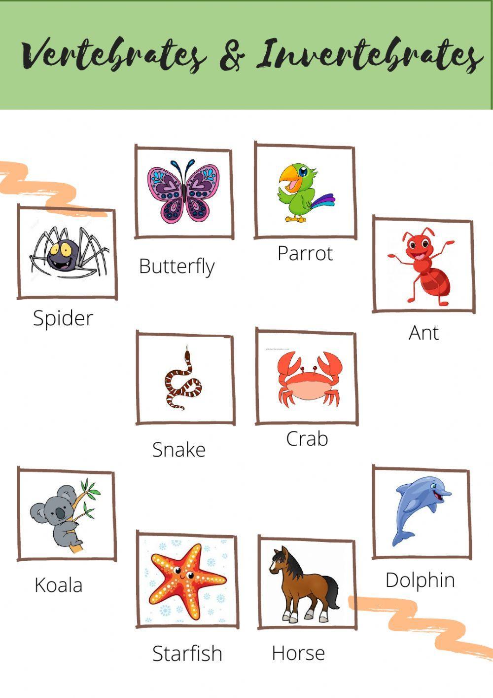 Vertebrates-Invertebrates