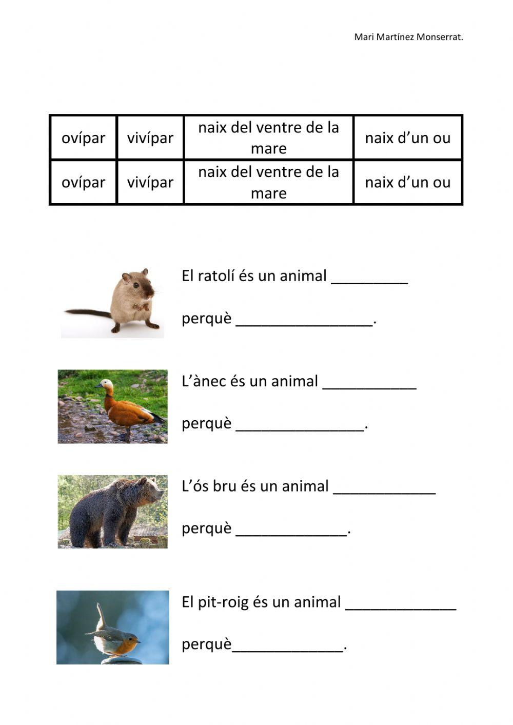 Els animals es reproduïxen