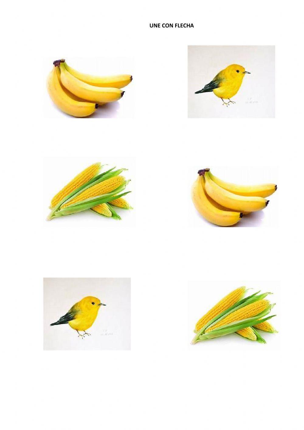 Une con flechas elementos Canarios