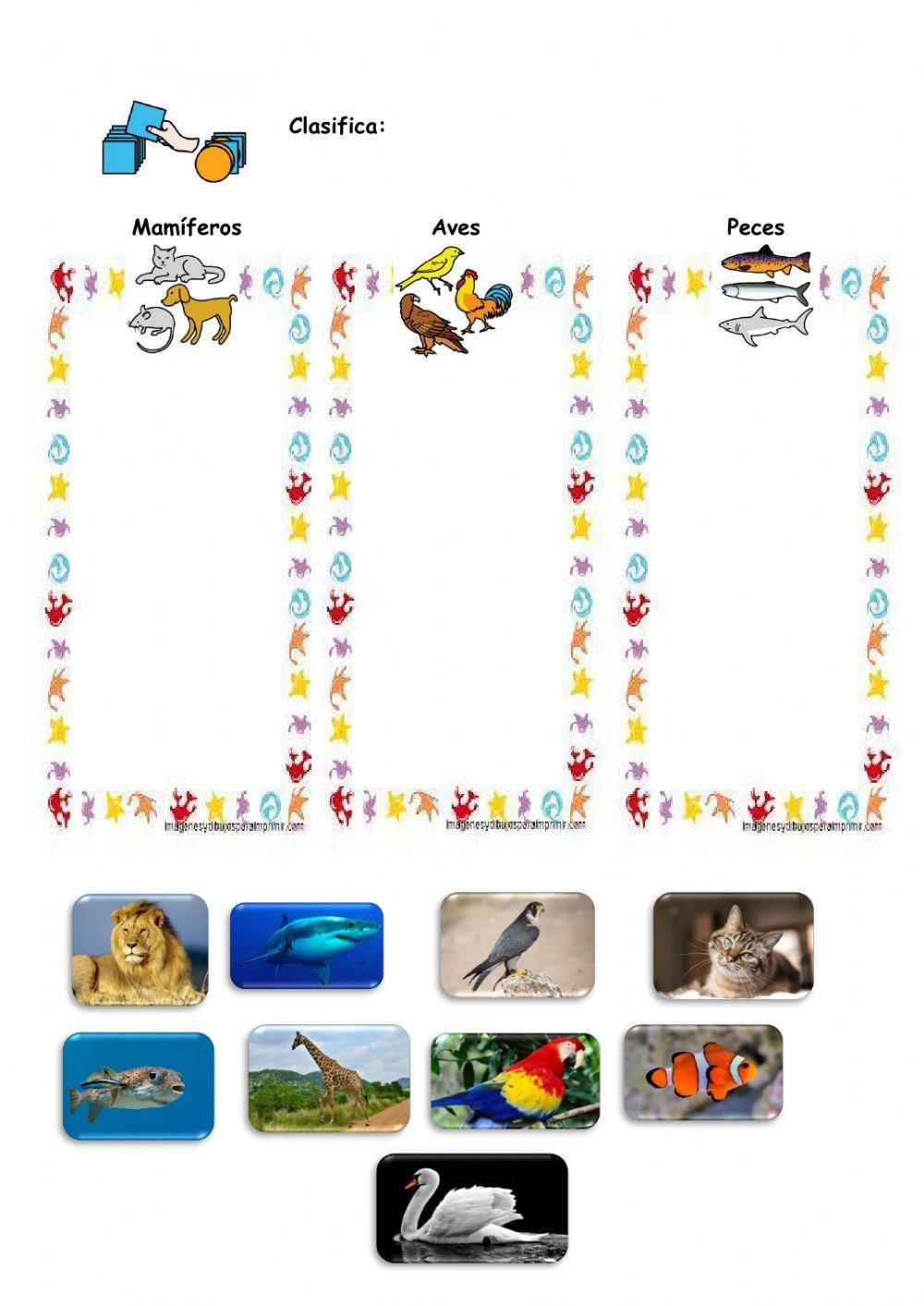 Mamíferos, peces y aves