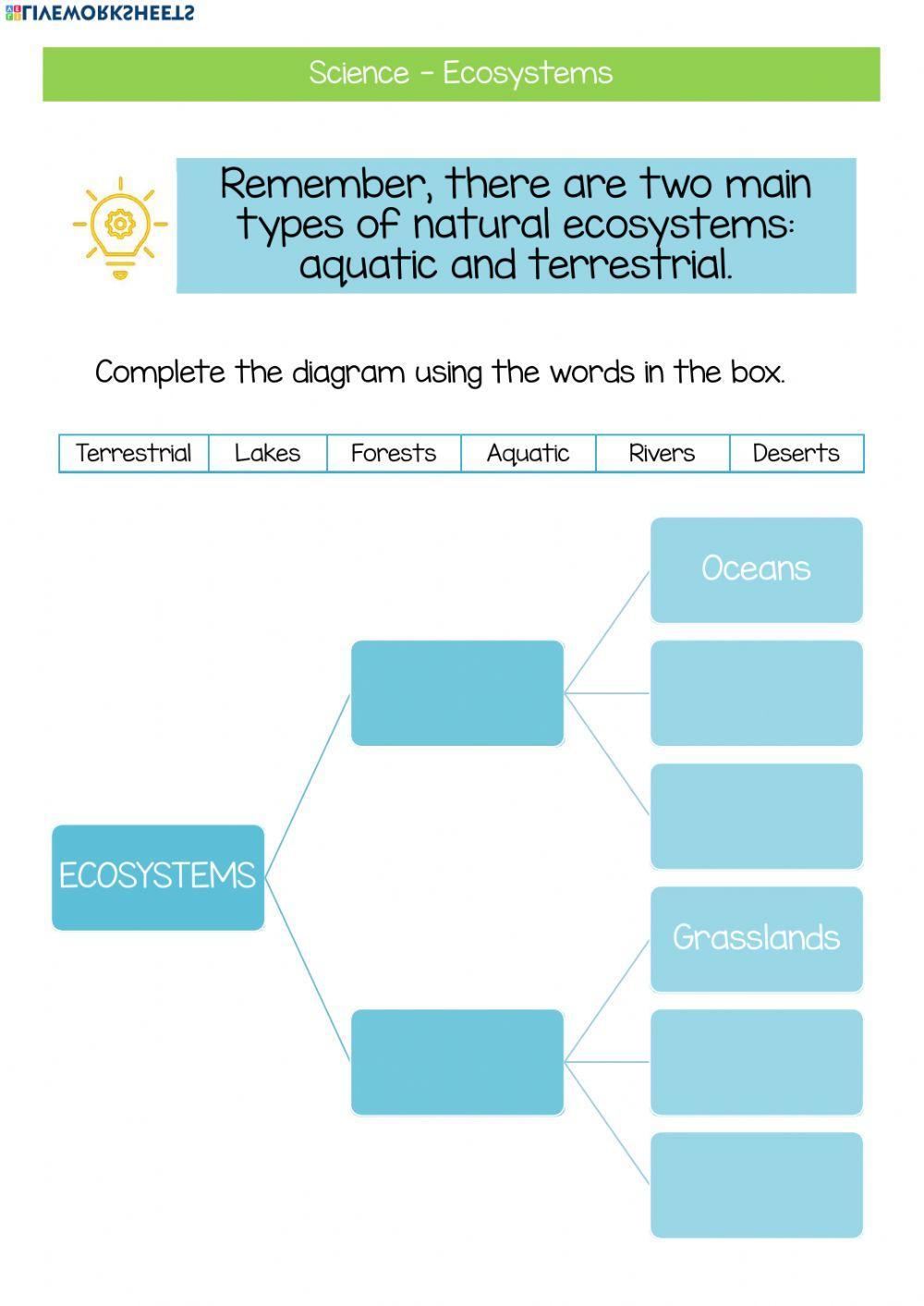 Complete the diagram using the words in the box.