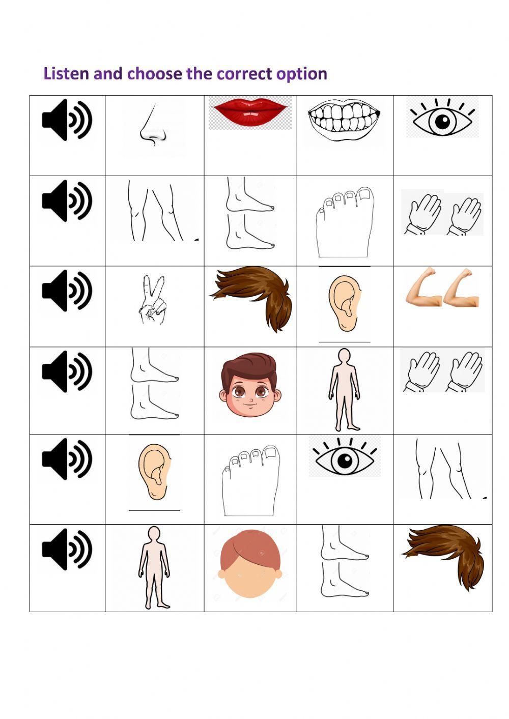 Listen and choose the correct option