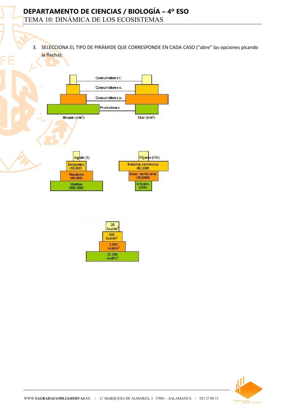 Productividad de los ecosistemas