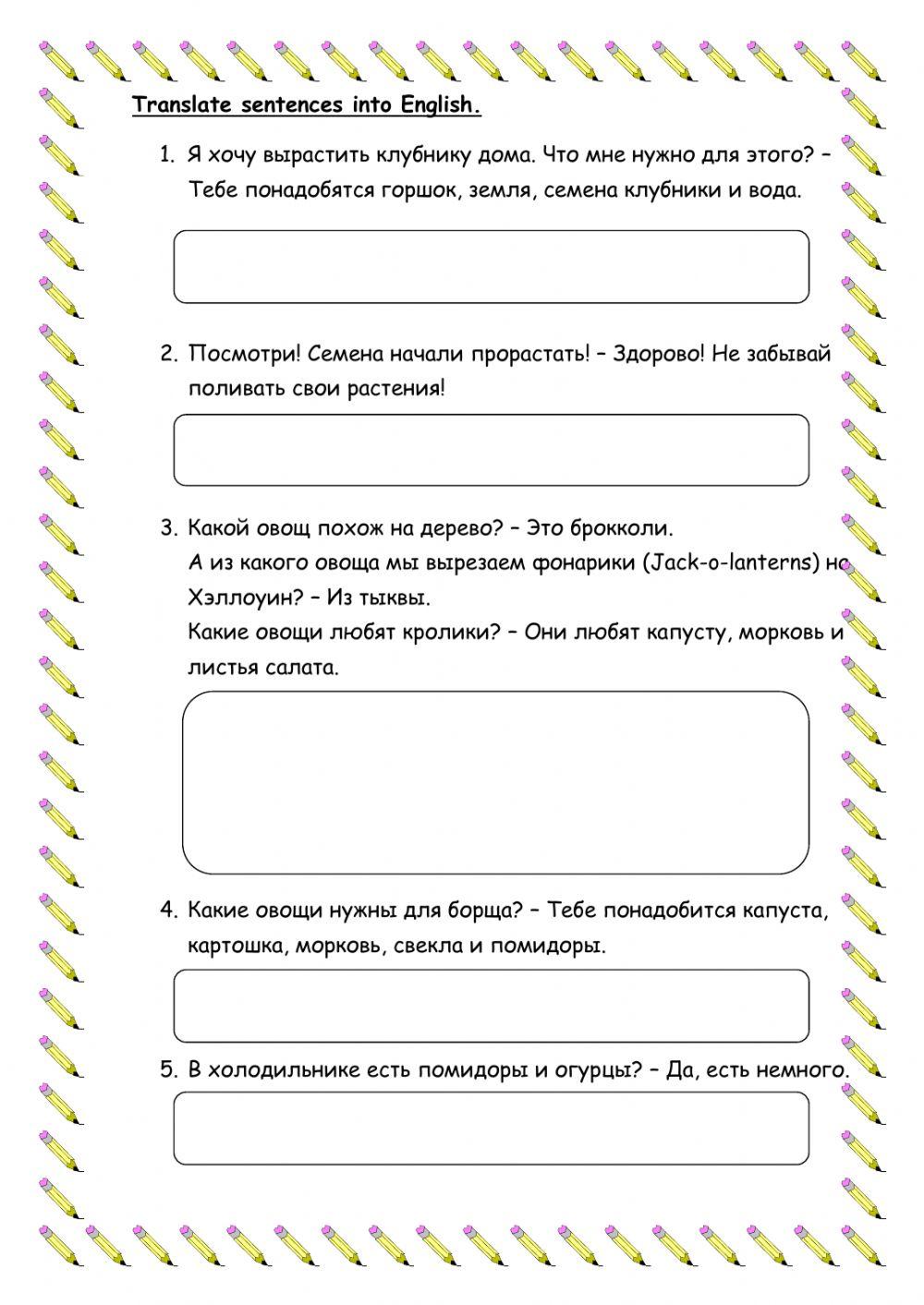 Growing plants. Vegetables. Translation from Russian into English