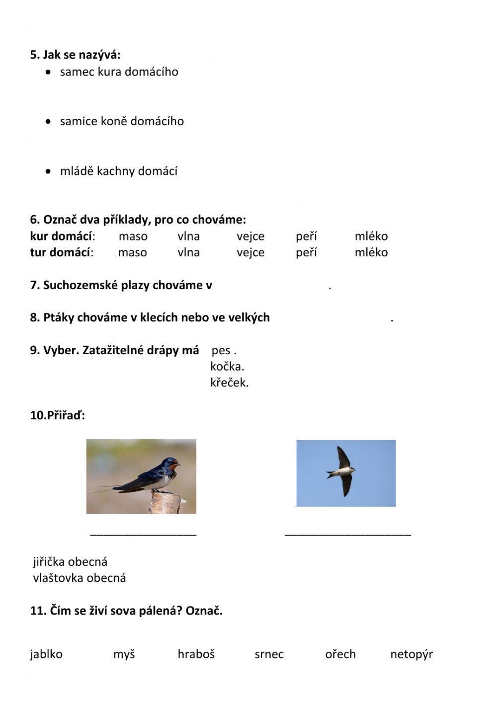 Ekosystém okolí lidského obydlí