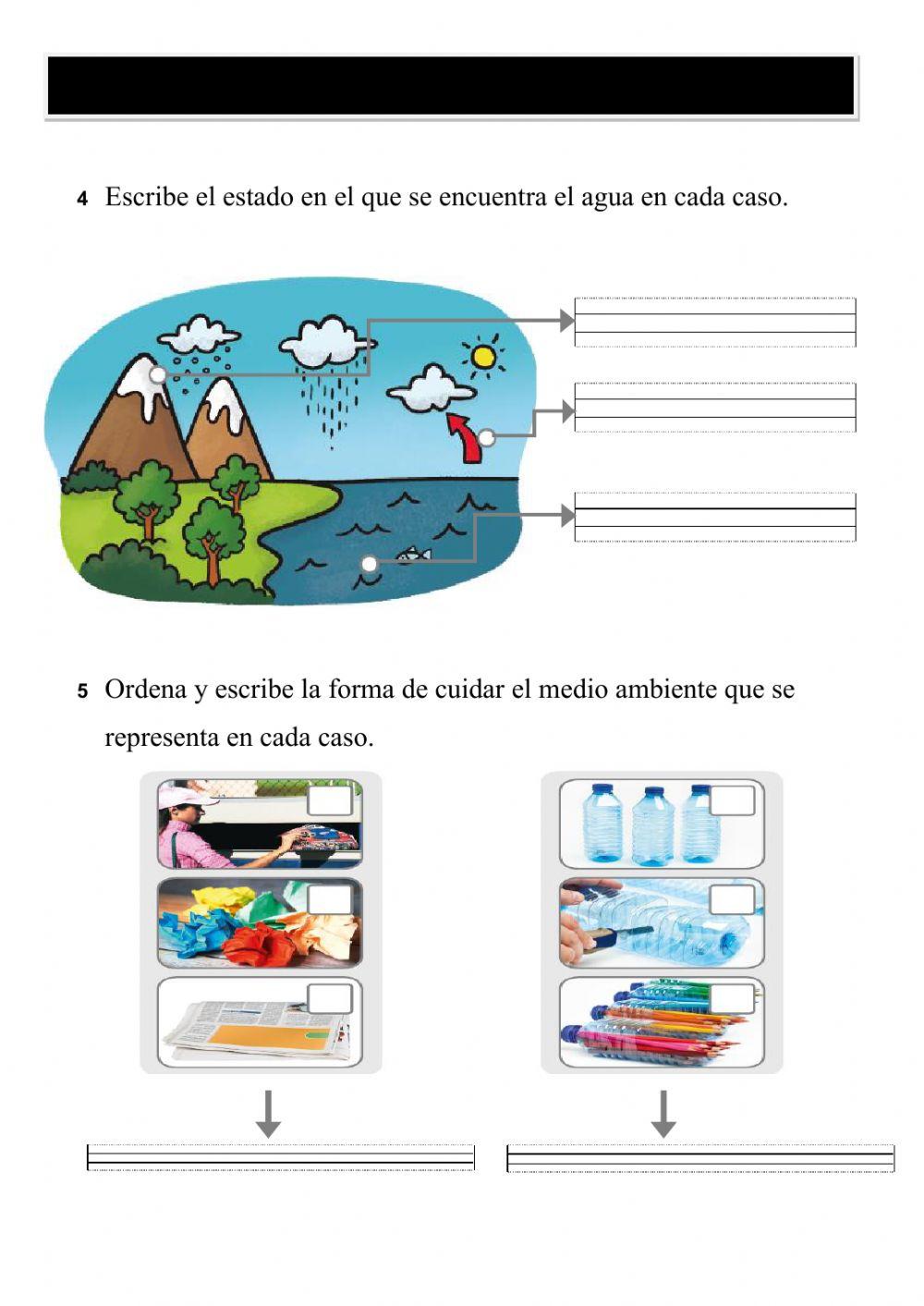 Unidad 5, materia y energía