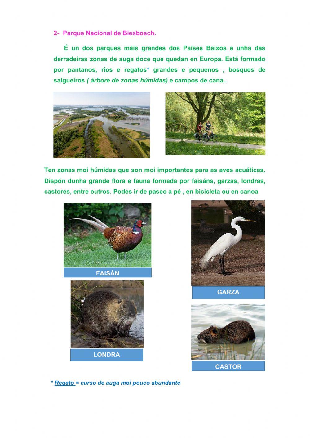 Espazos Naturais de Holanda