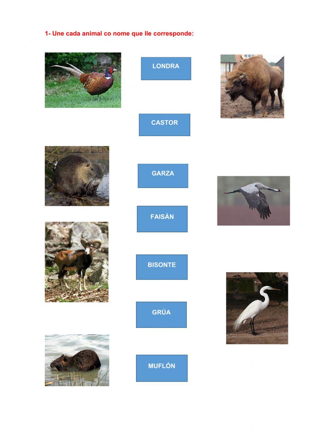 Espazos Naturais de Holanda