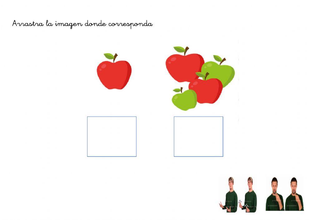 Cuantificadores básicos: muchos-pocos L.S.E