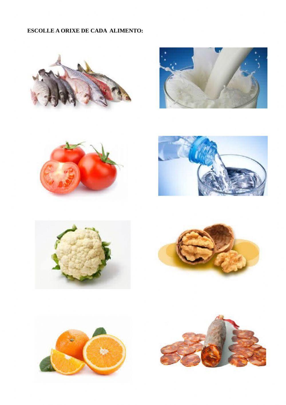 A orixe dos alimentos