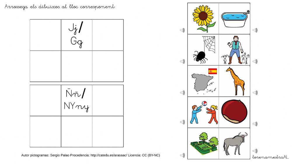 Consciència fonològica J-G,NY