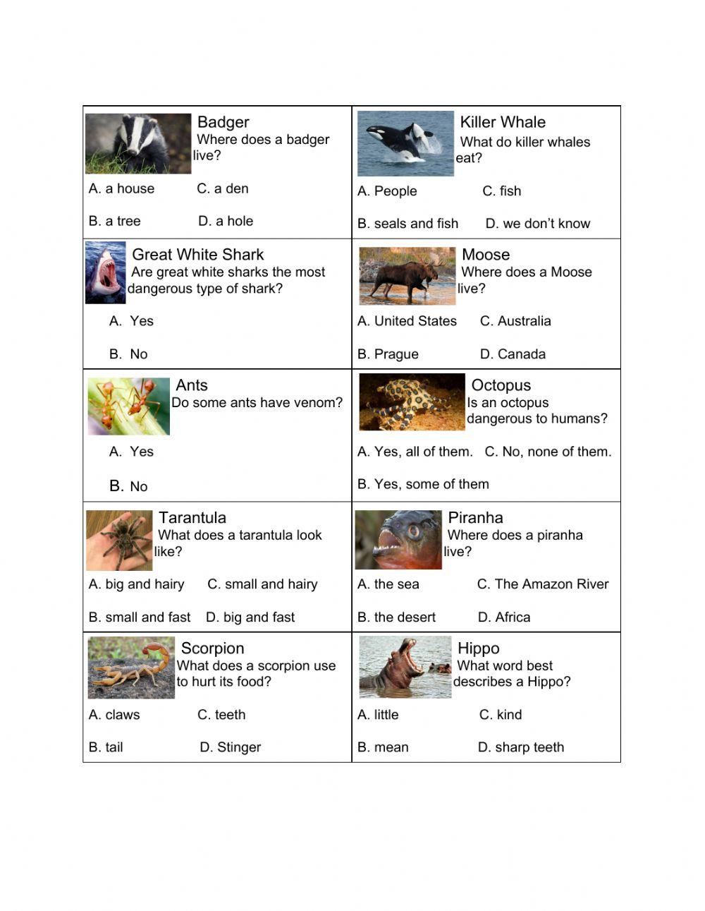 Mc Dangerous Animals