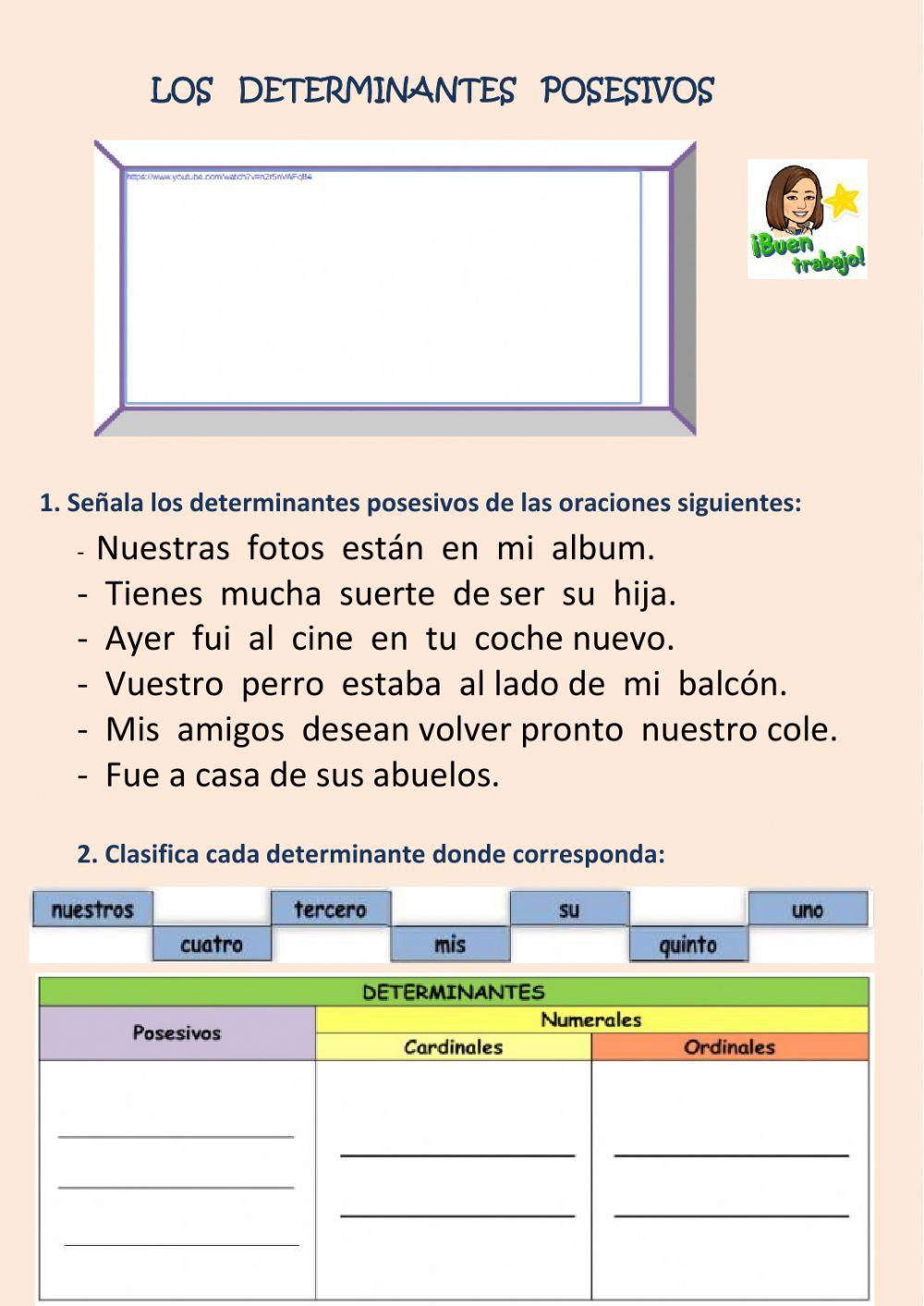 determinantes posesivos y numerales