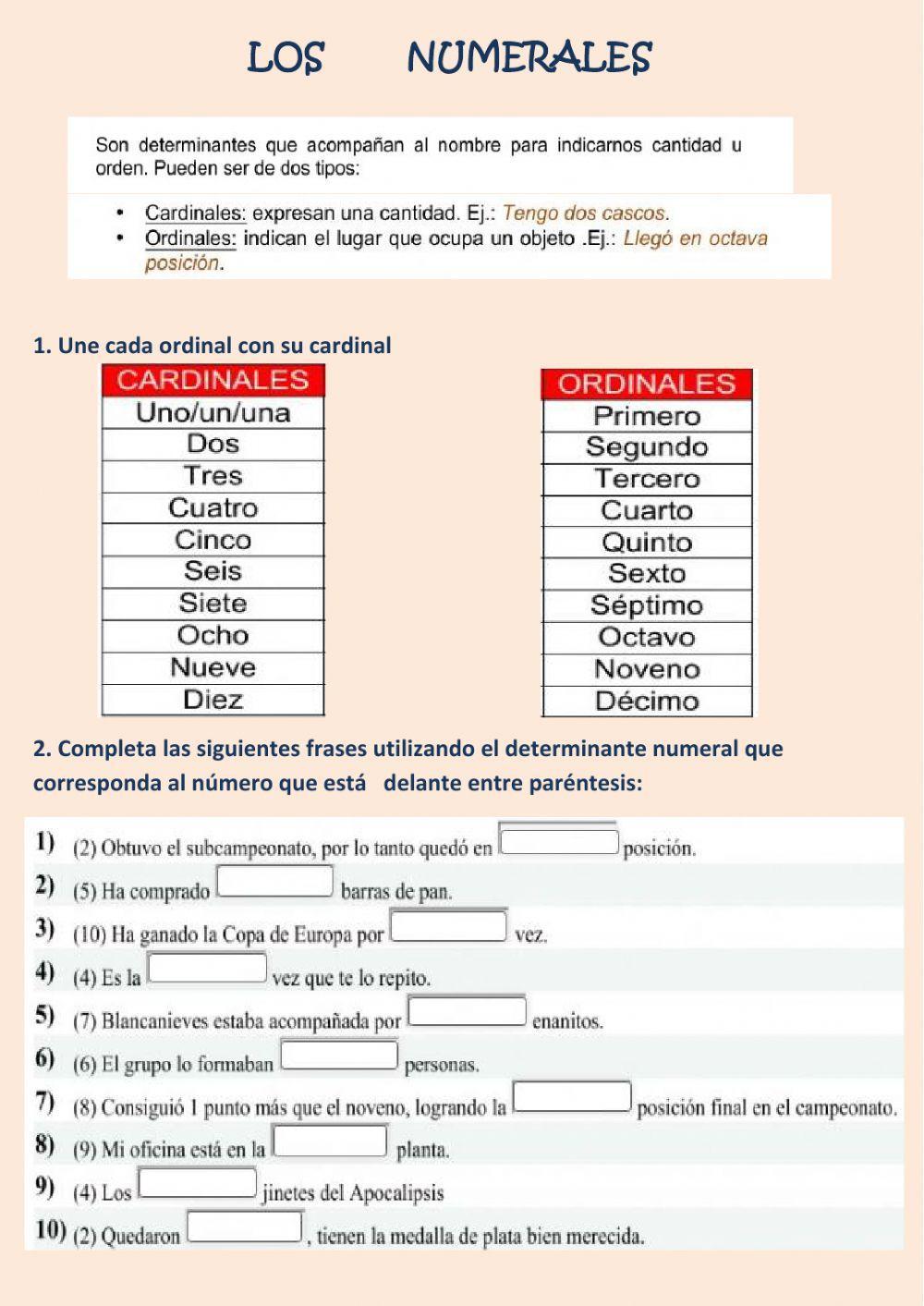 determinantes posesivos y numerales