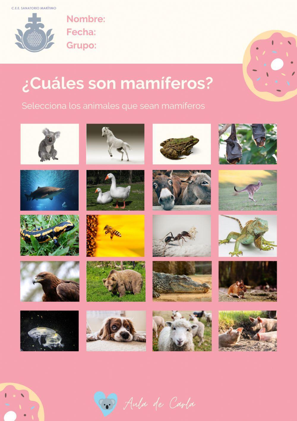 Los mamíferos