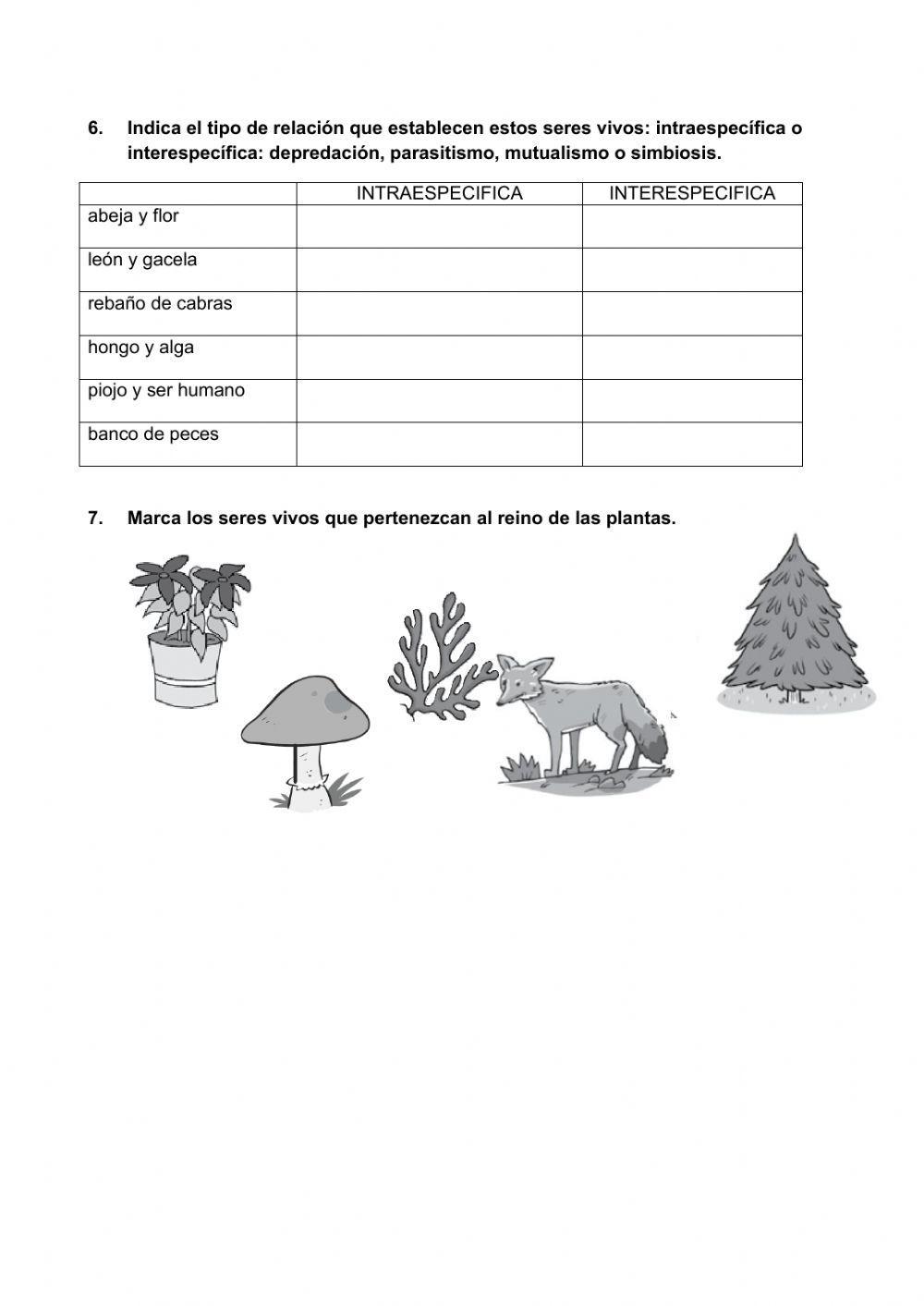 Una gran diversidad de seres vivos