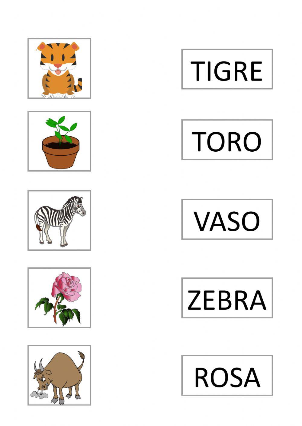 Collega la parola all'immagine