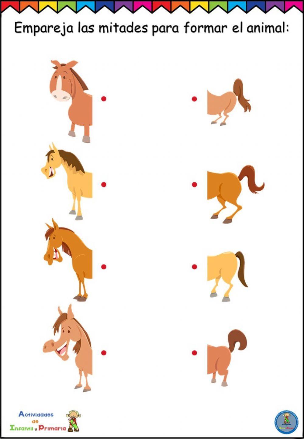 Emparejar mitades de caballo