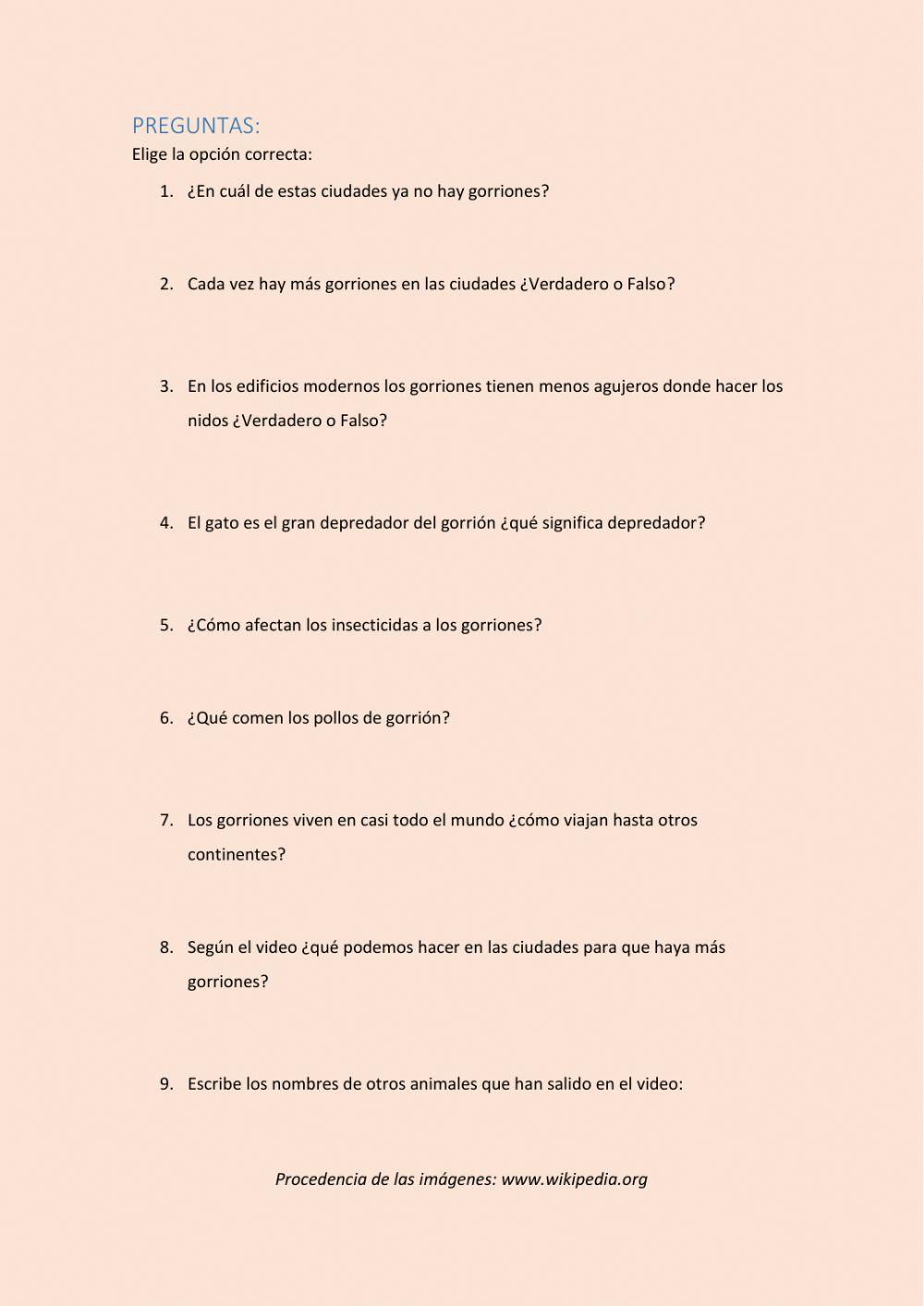 ¿Qué está pasando con los gorriones?