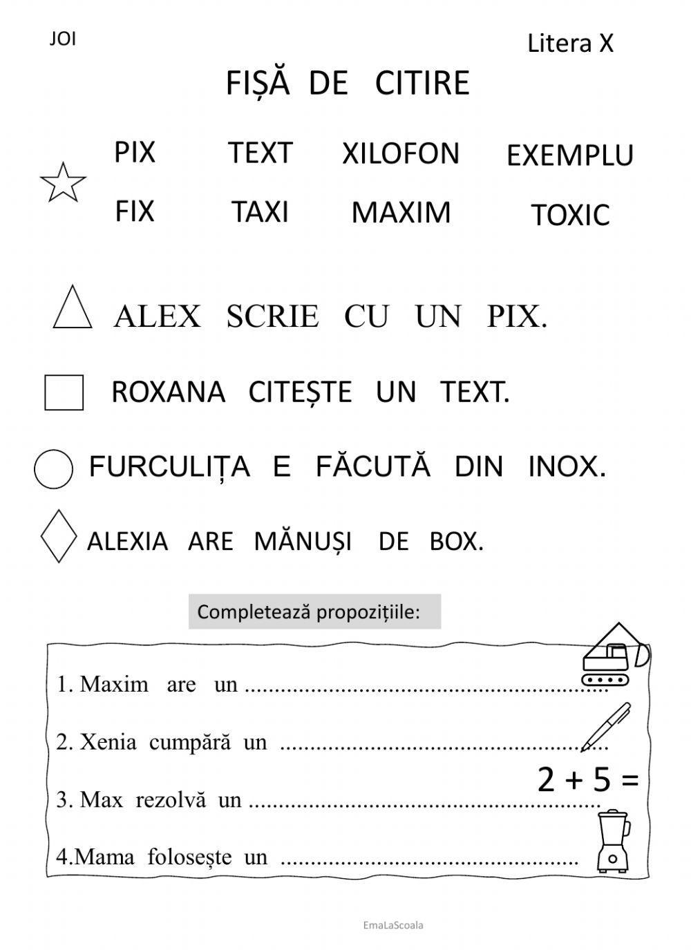 Fisa de citire litera X