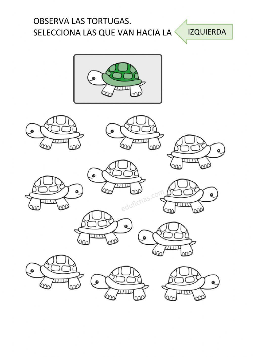 La tortuga hacia la izquierda La tortuga hacia la izquierda