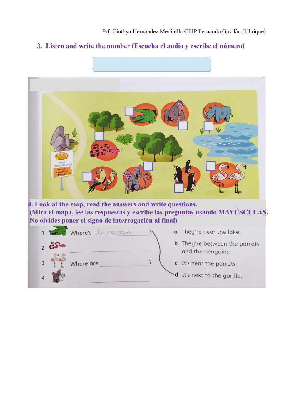 Where are the animals?