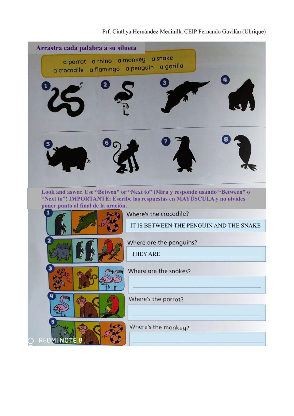 Where are the animals?