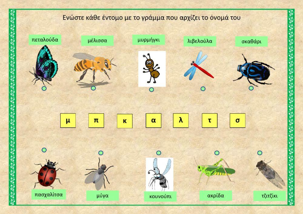 Έντομα και γράμματα
