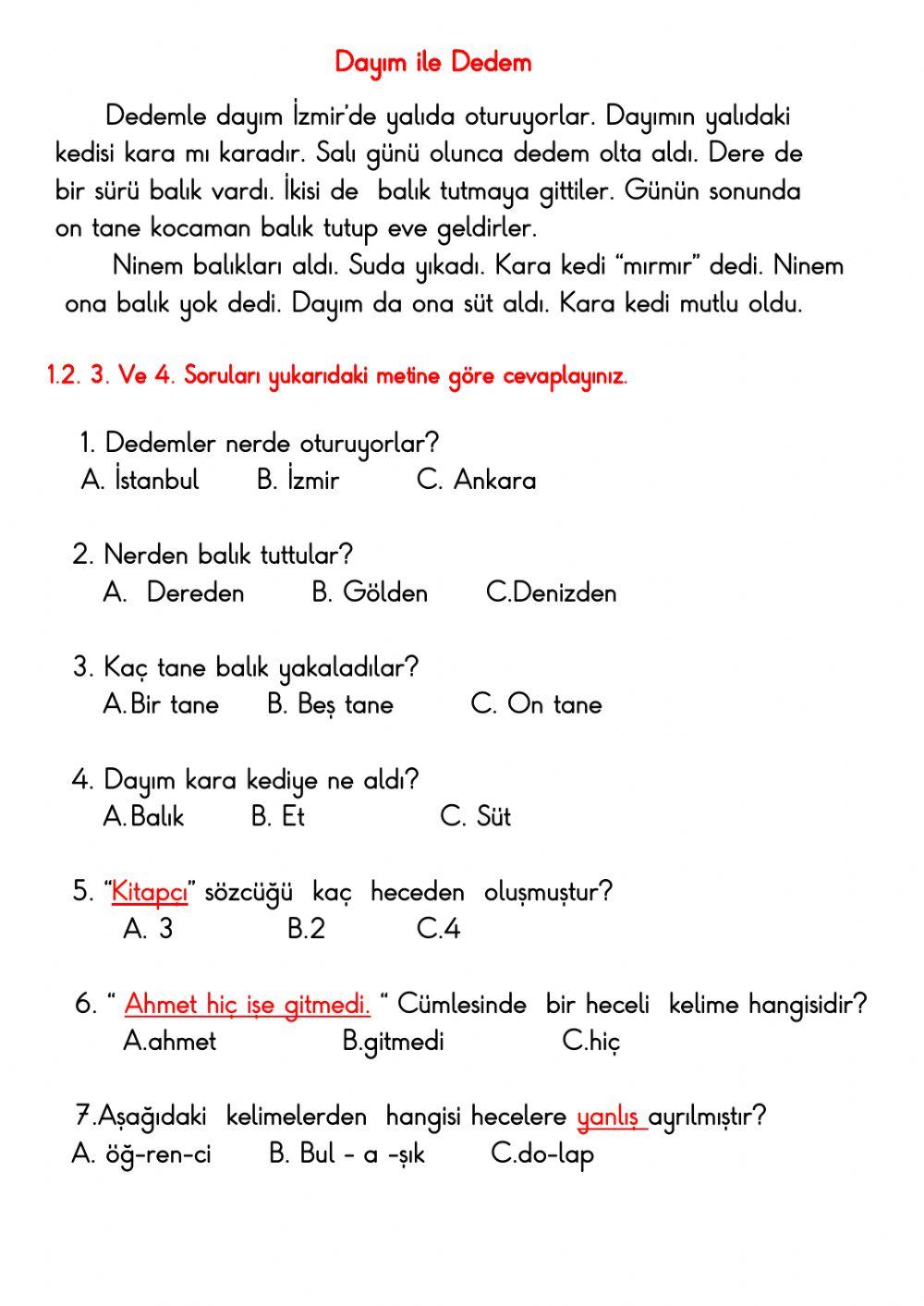 Türkçe okuma anlama