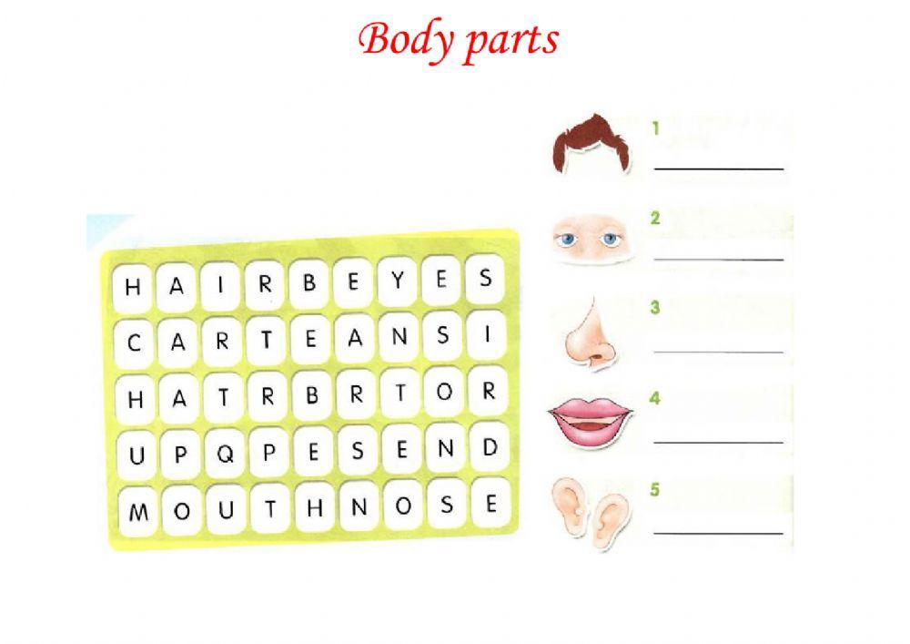 Body parts