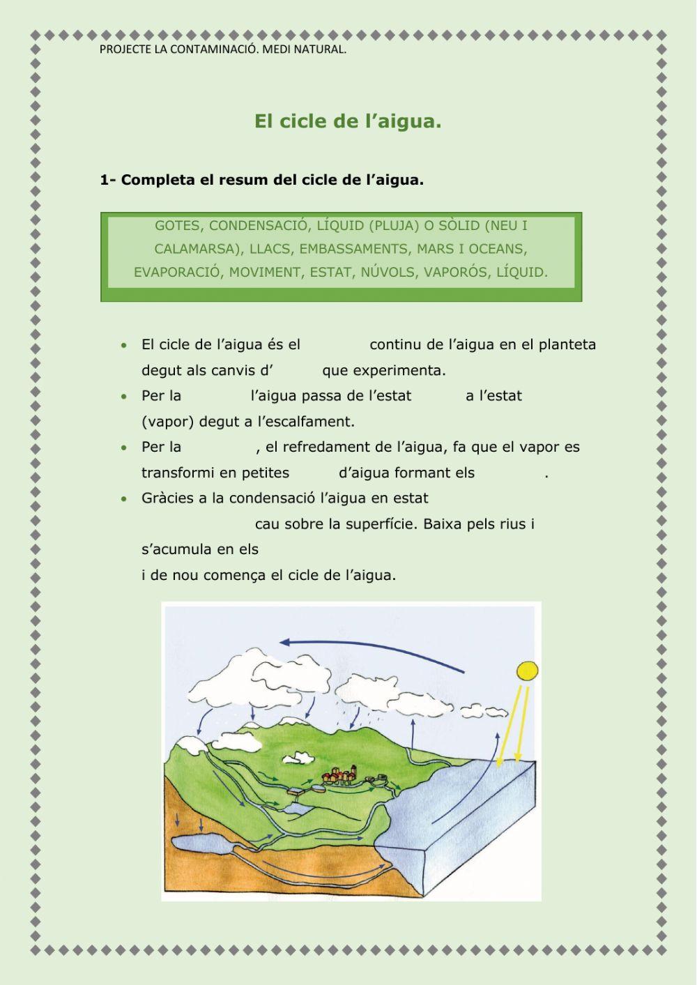 El cicle de l'aigua.