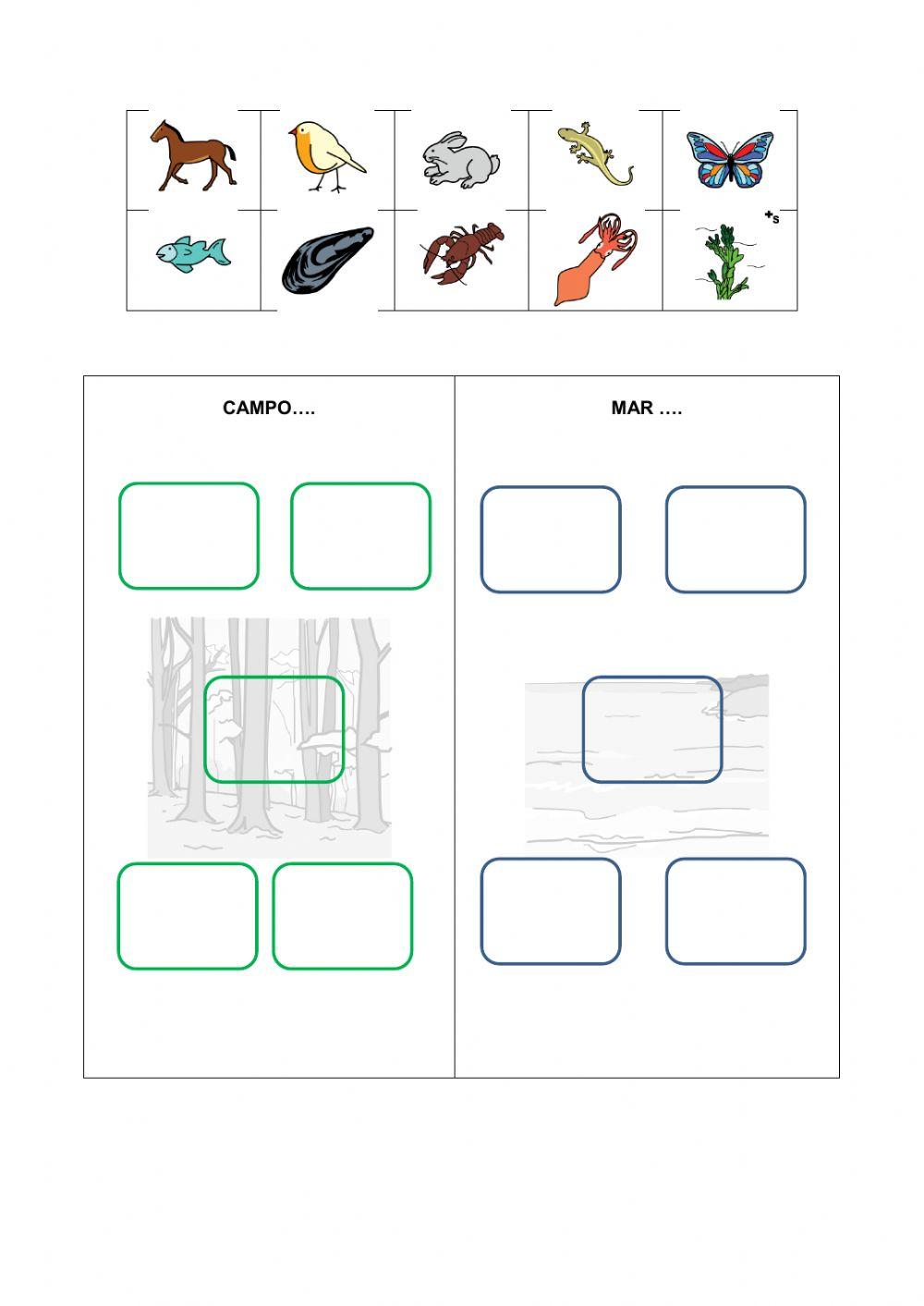 Clasifica según sean del bosque o del mar