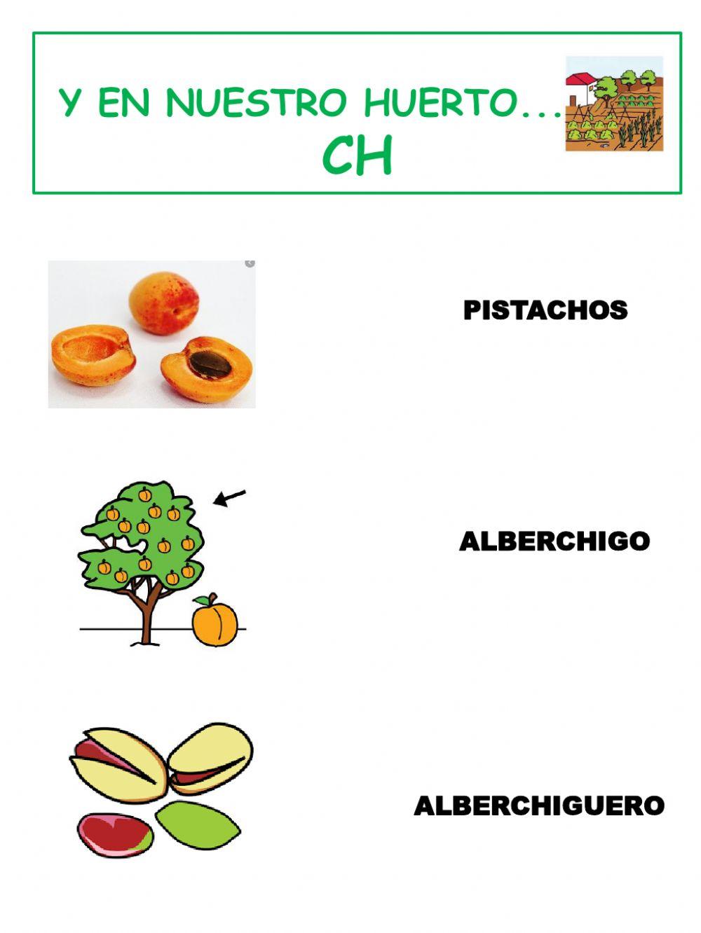 Ficha palabras con CH