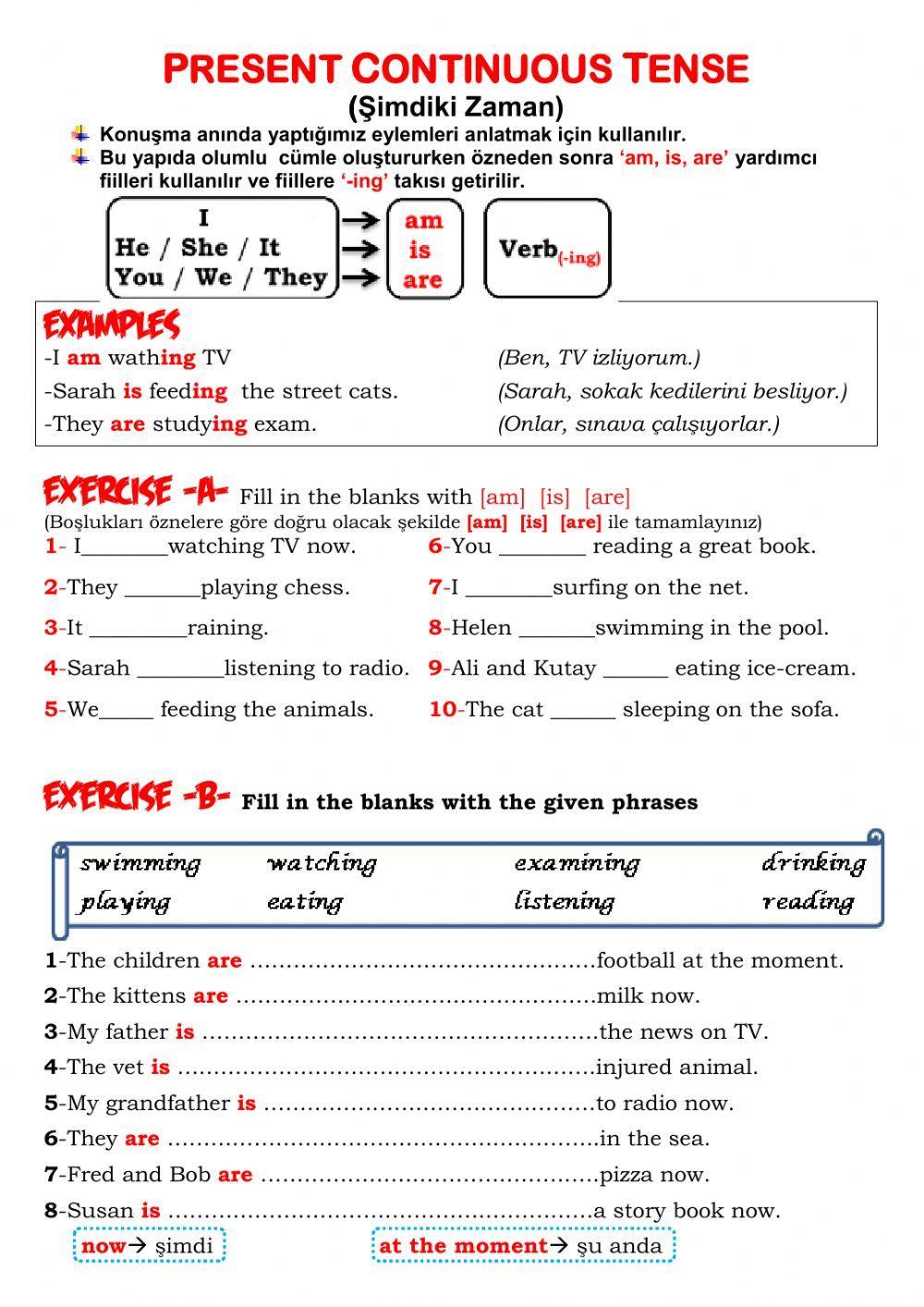 5.sınıf 9.ünite animal shelter