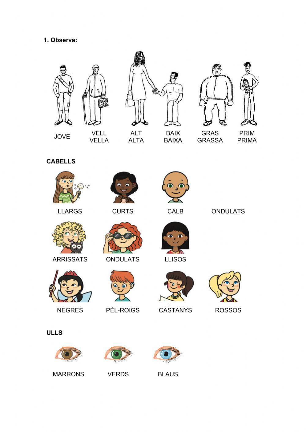 Adjectius parts del cos