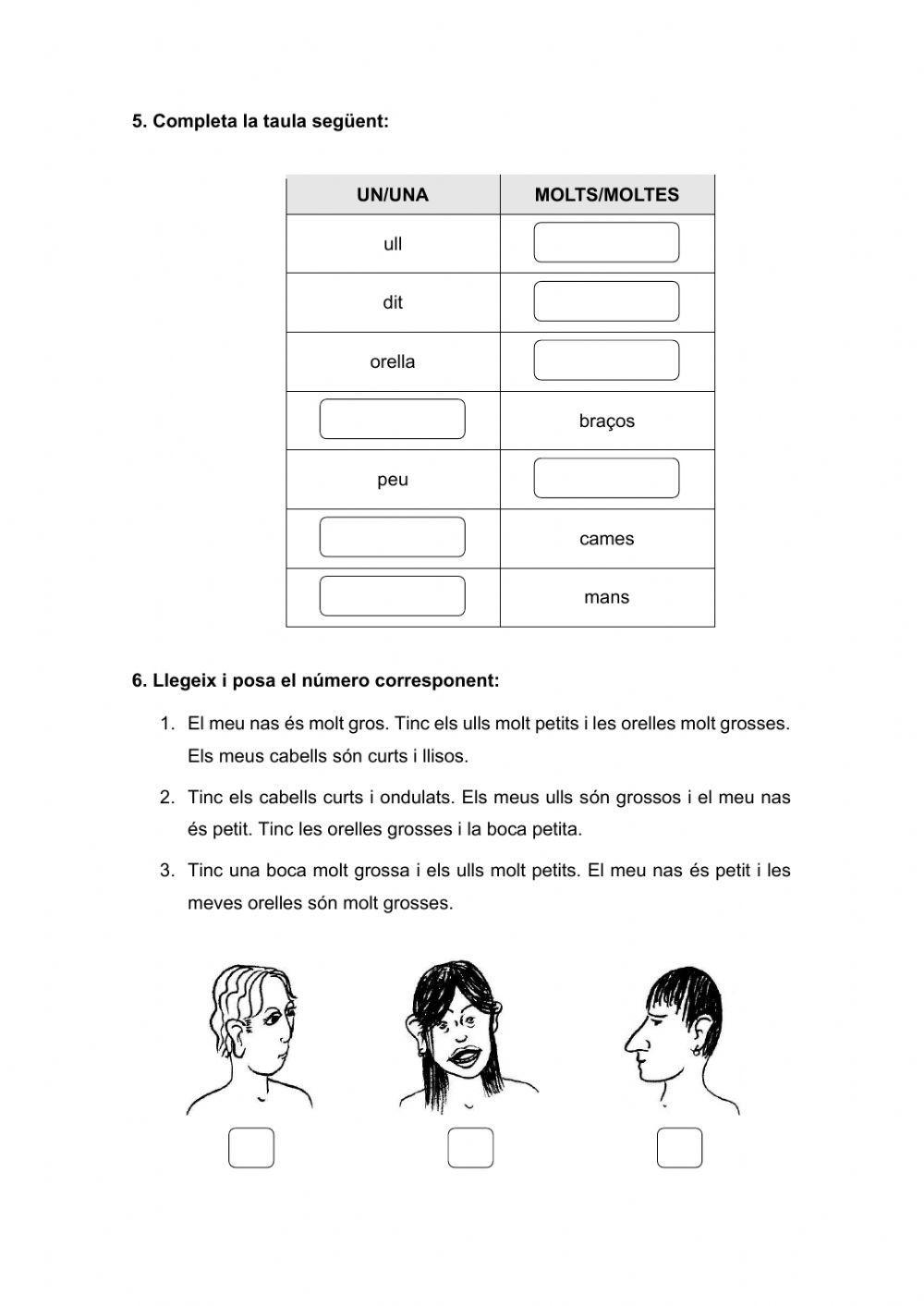 Adjectius parts del cos