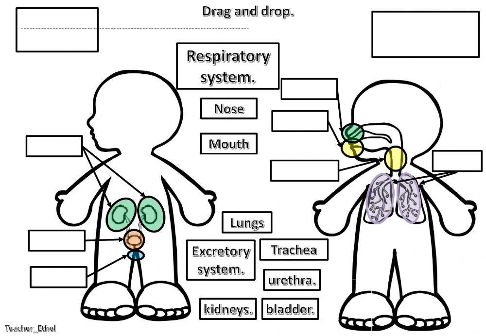 Nutrition function part 2