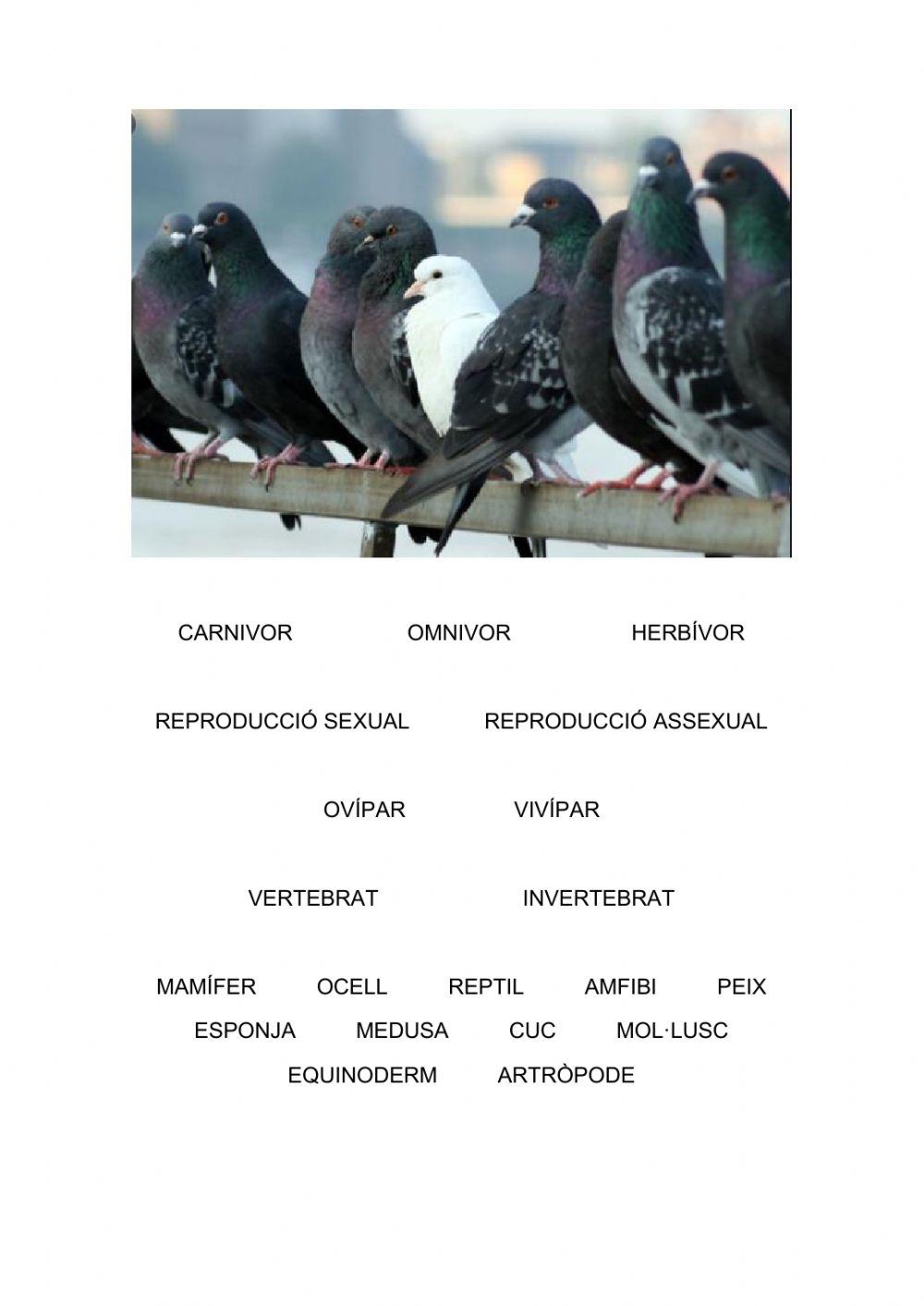 Característiques d'animals