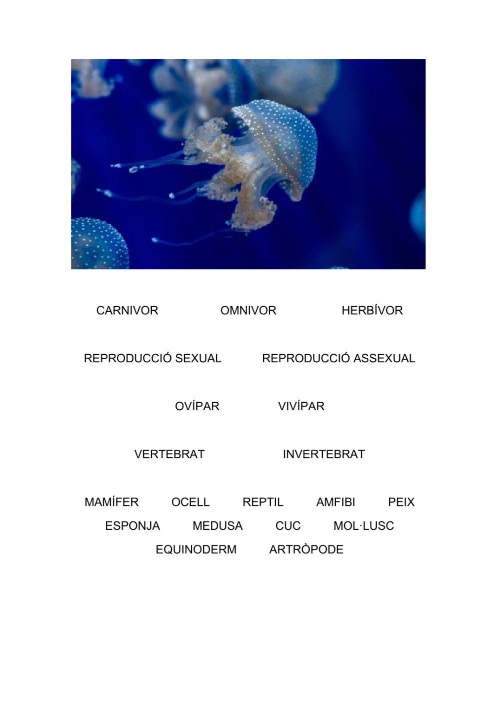 Característiques d'animals