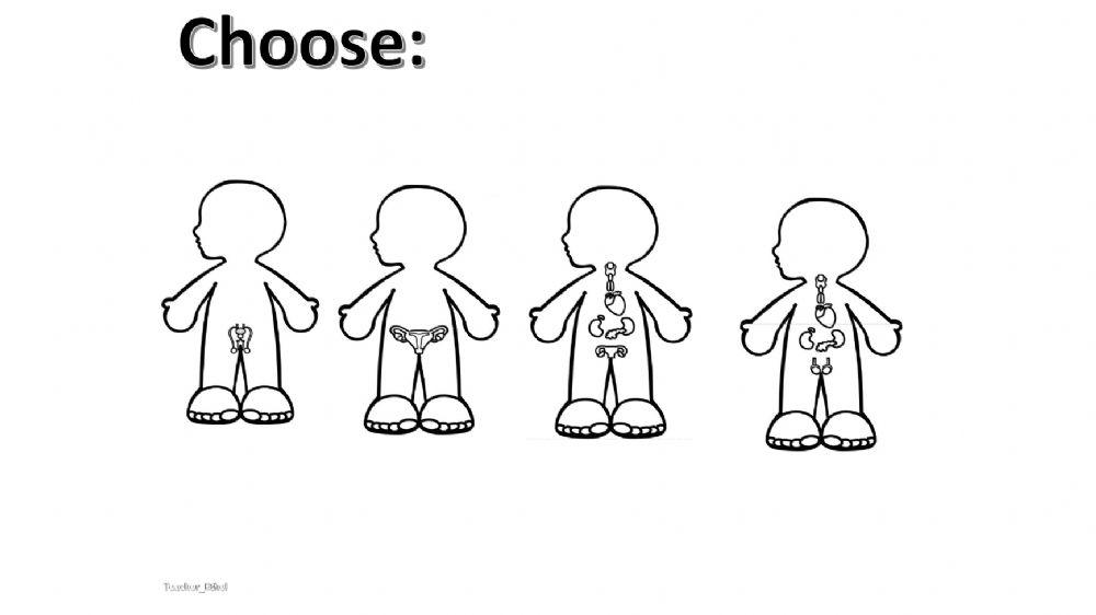 Body systems reproductive and endocrine systems