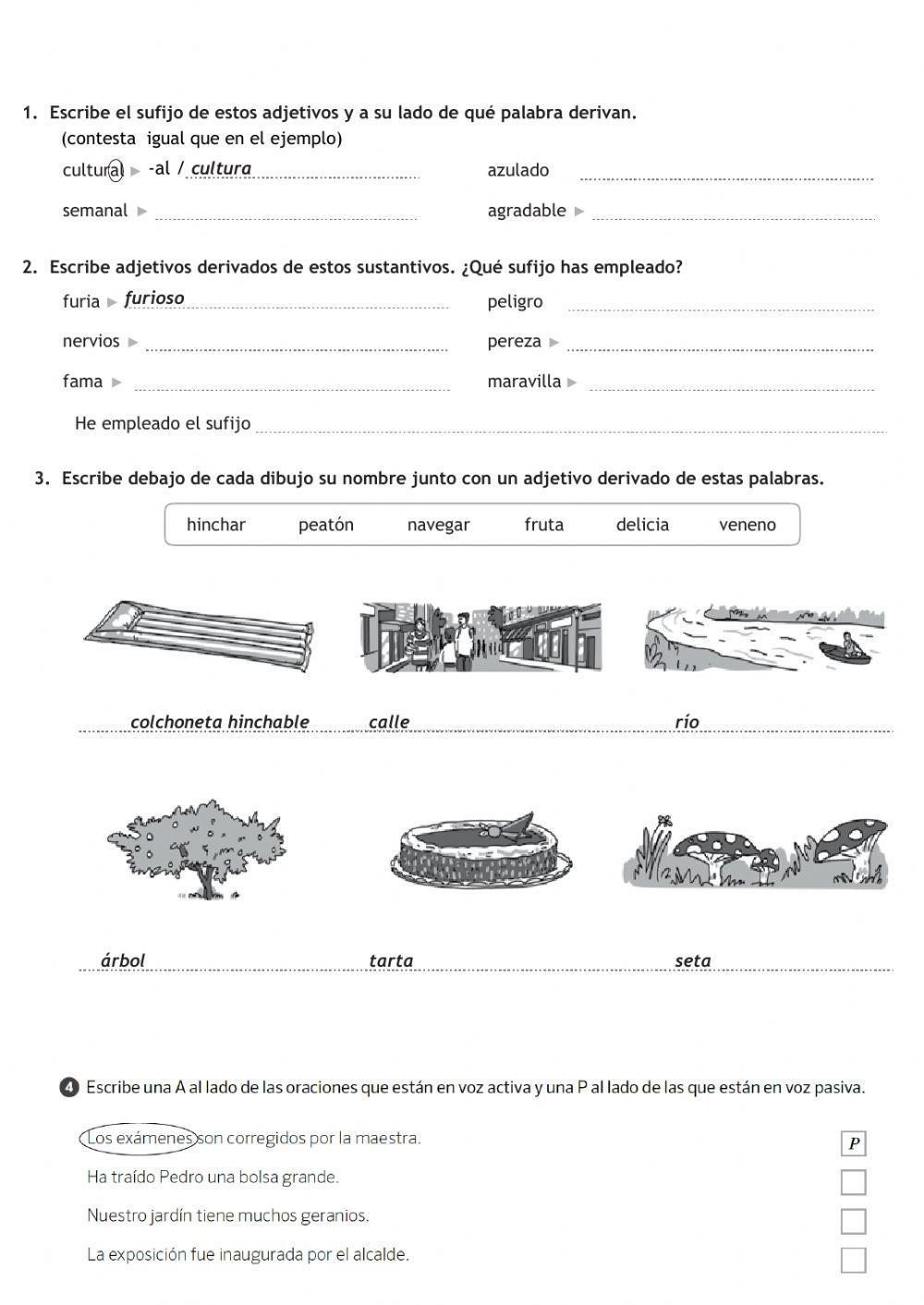 RosaLux ficha repaso tema 11