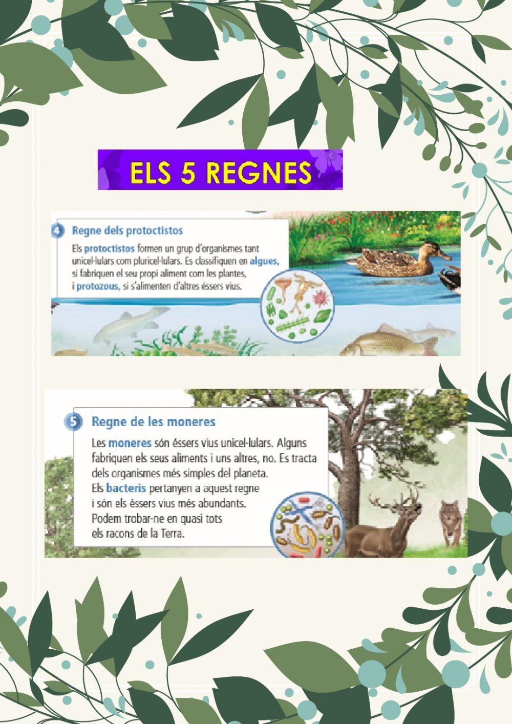 Classificació dels éssers vius