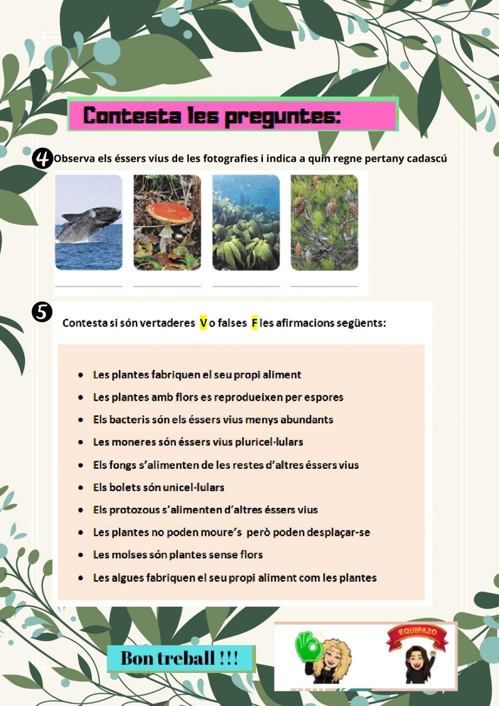 Classificació dels éssers vius