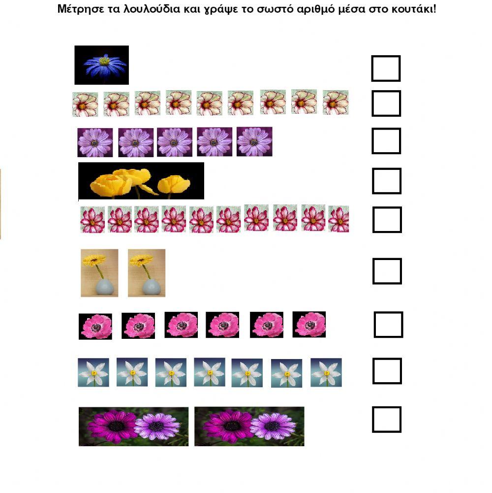Μέτρησε τα λουλούδια
