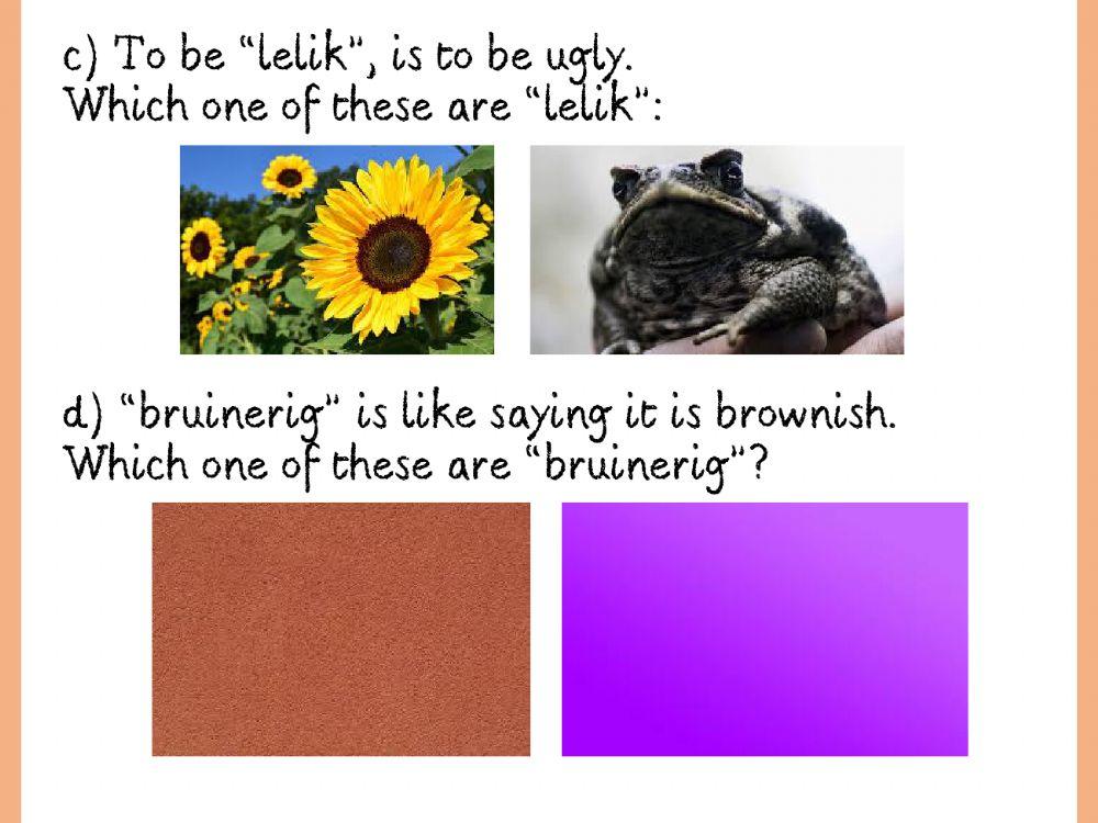 Afrikaans Vocabulary