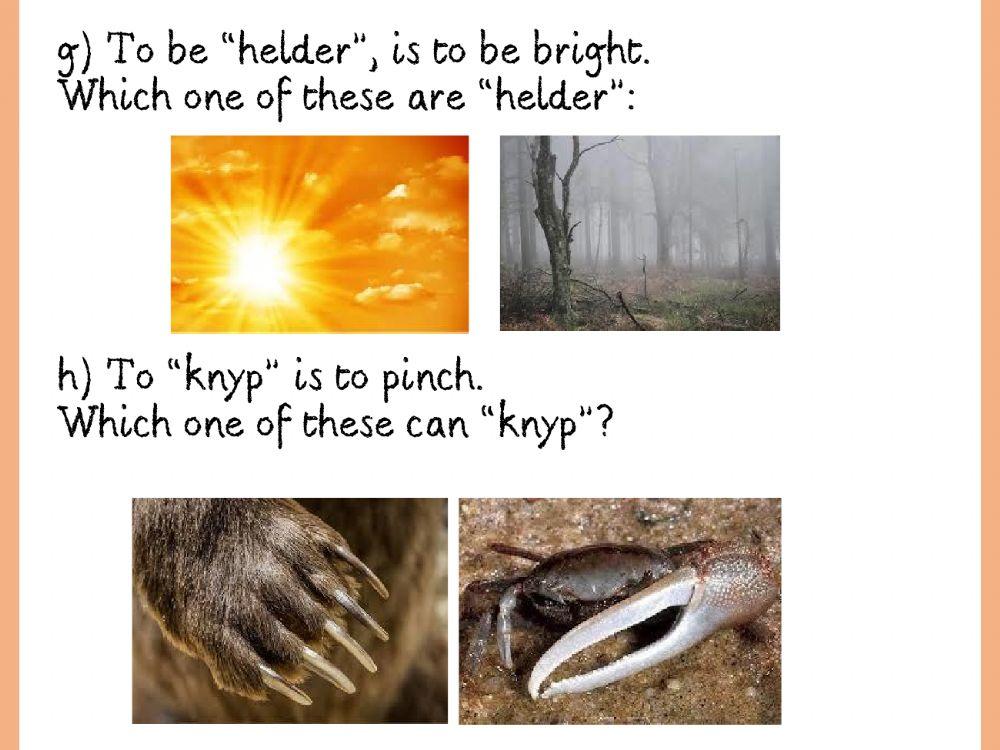 Afrikaans Vocabulary