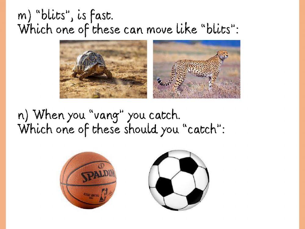 Afrikaans Vocabulary