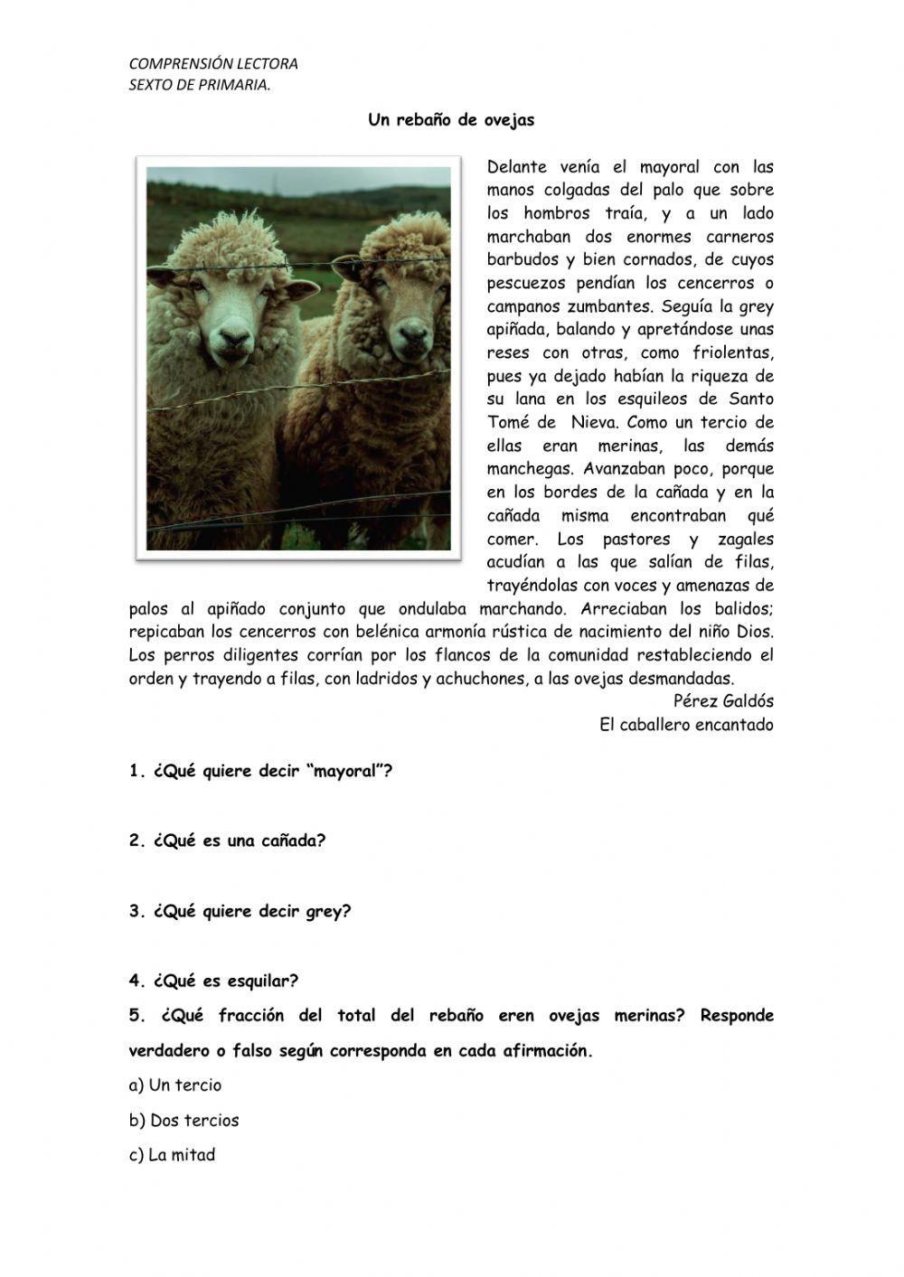 Un rebaño de ovejas.