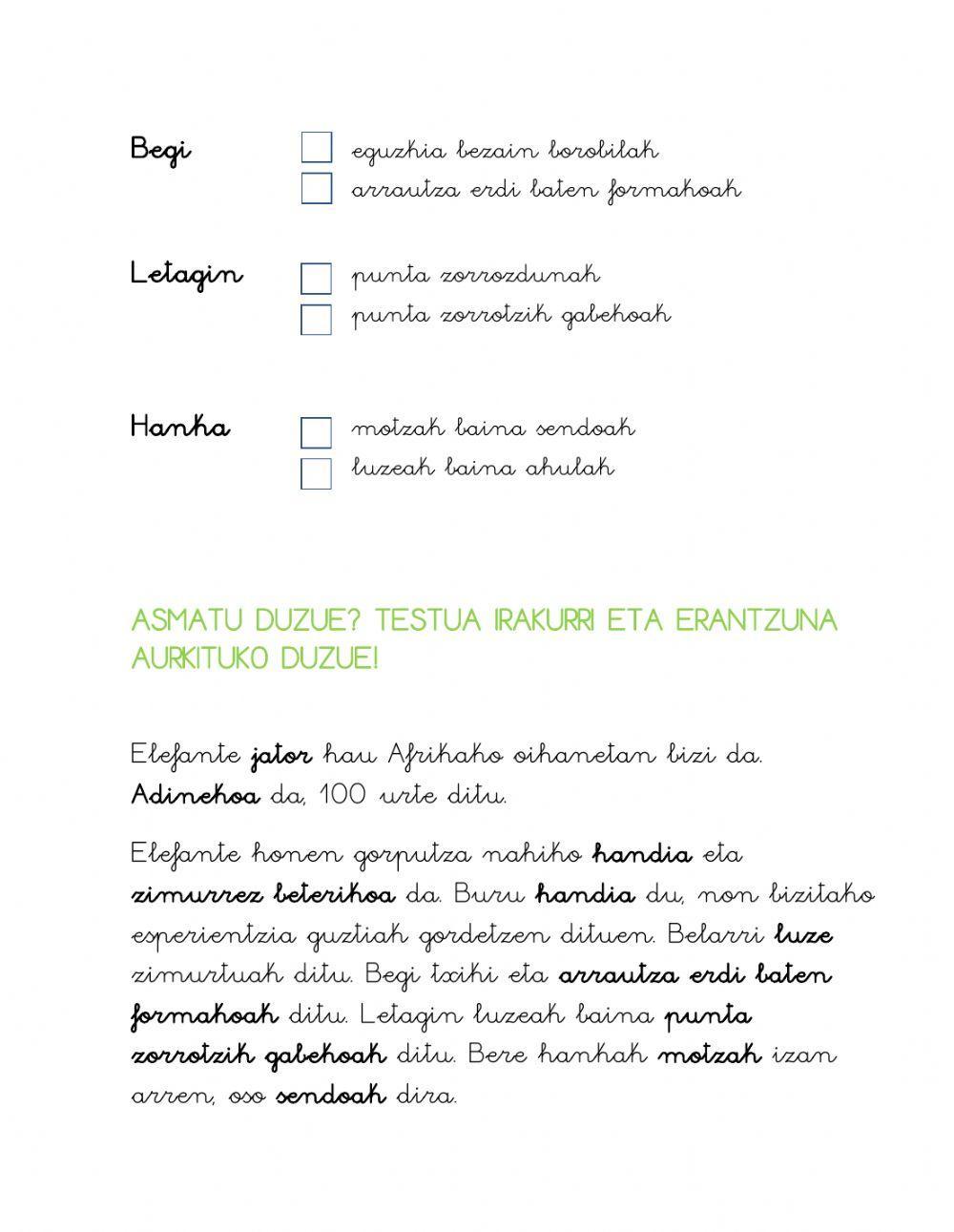 Marrazkien behaketa - deskribapena