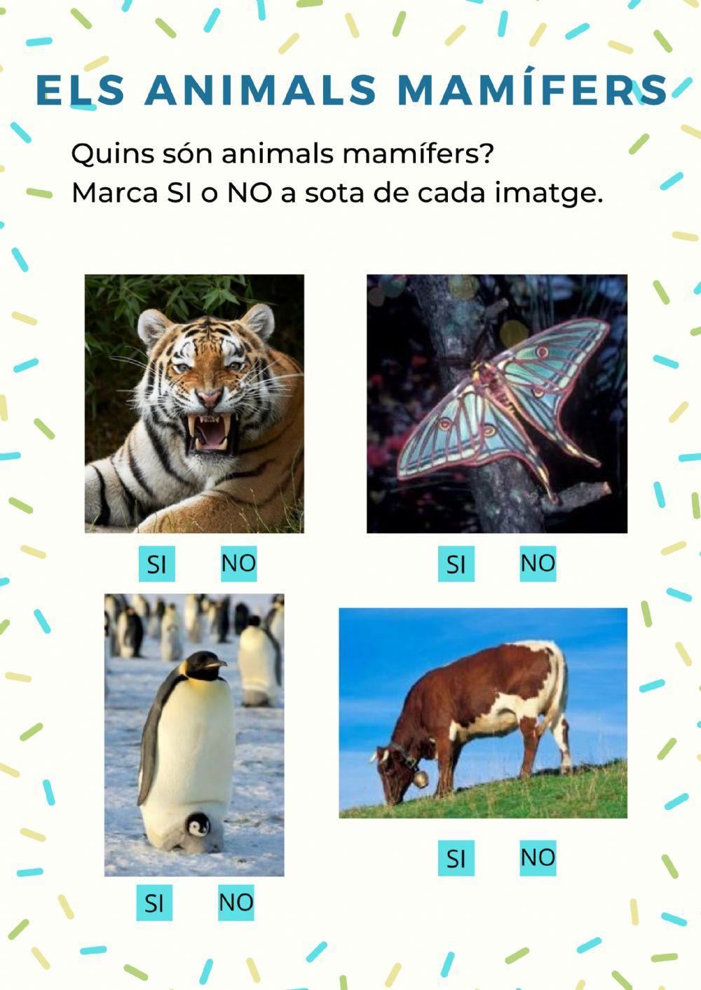 Els Animals Mamífers